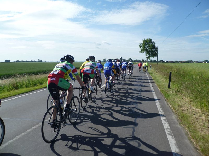 RTF Empelde Mirco 18